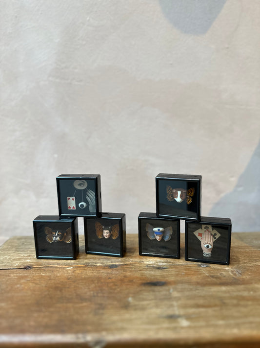 Mythical Magnet Taxidermy Boxes by Maïssa Toulet