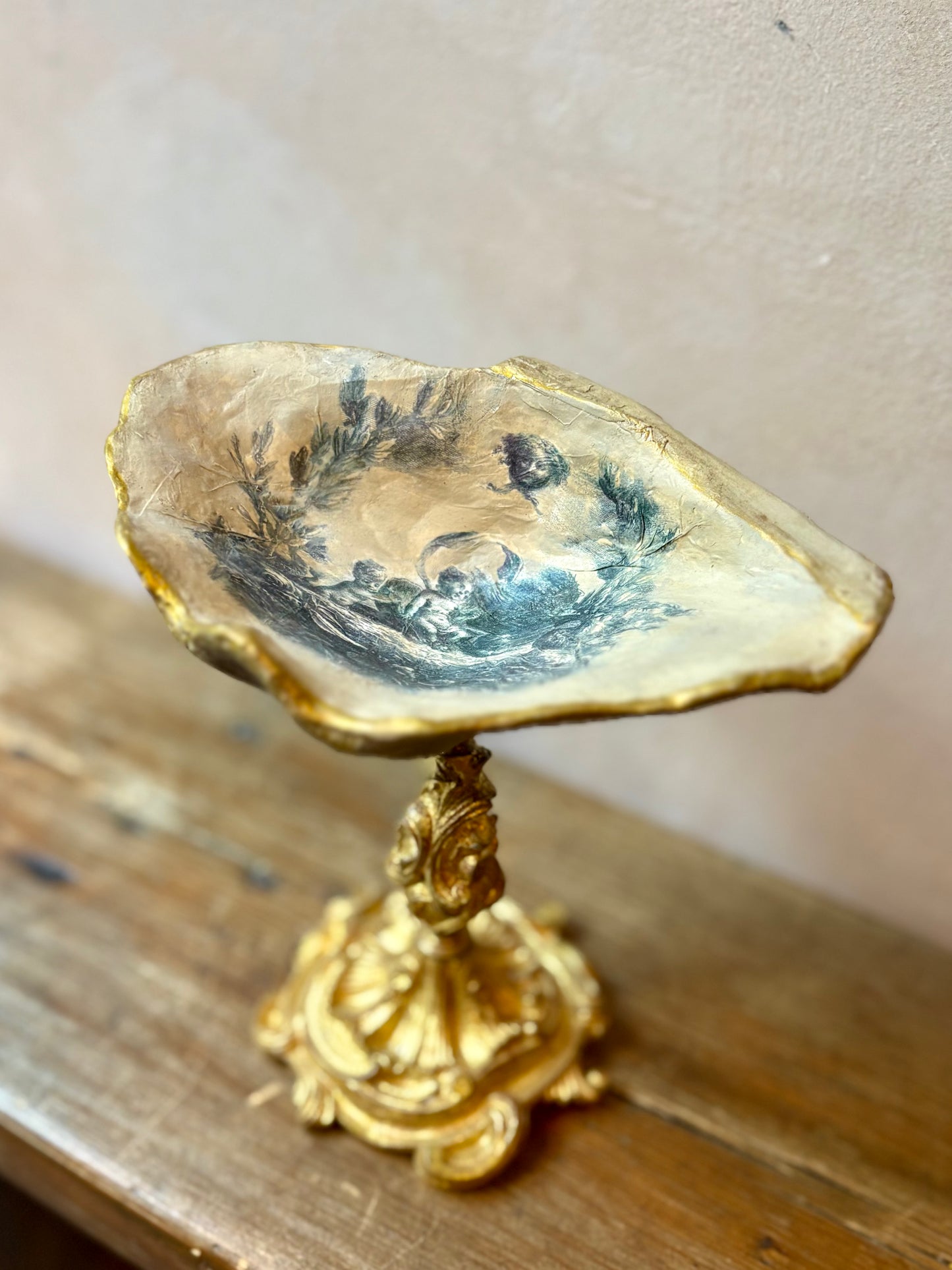 Curiosity Cabinet Shell Sculptures