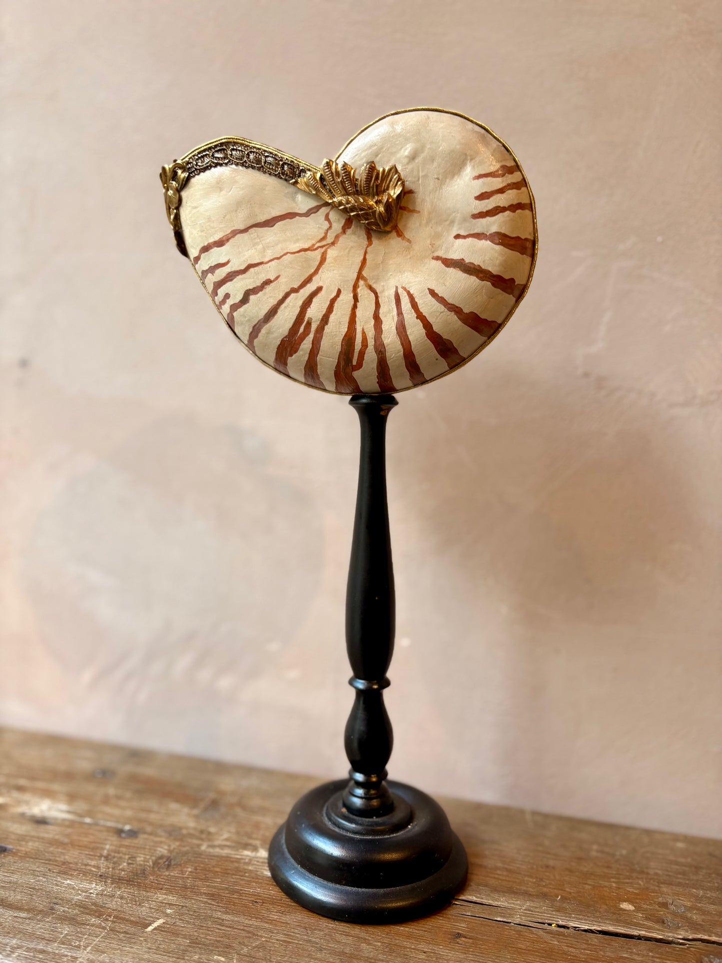 Curiosity Cabinet Shell Sculptures