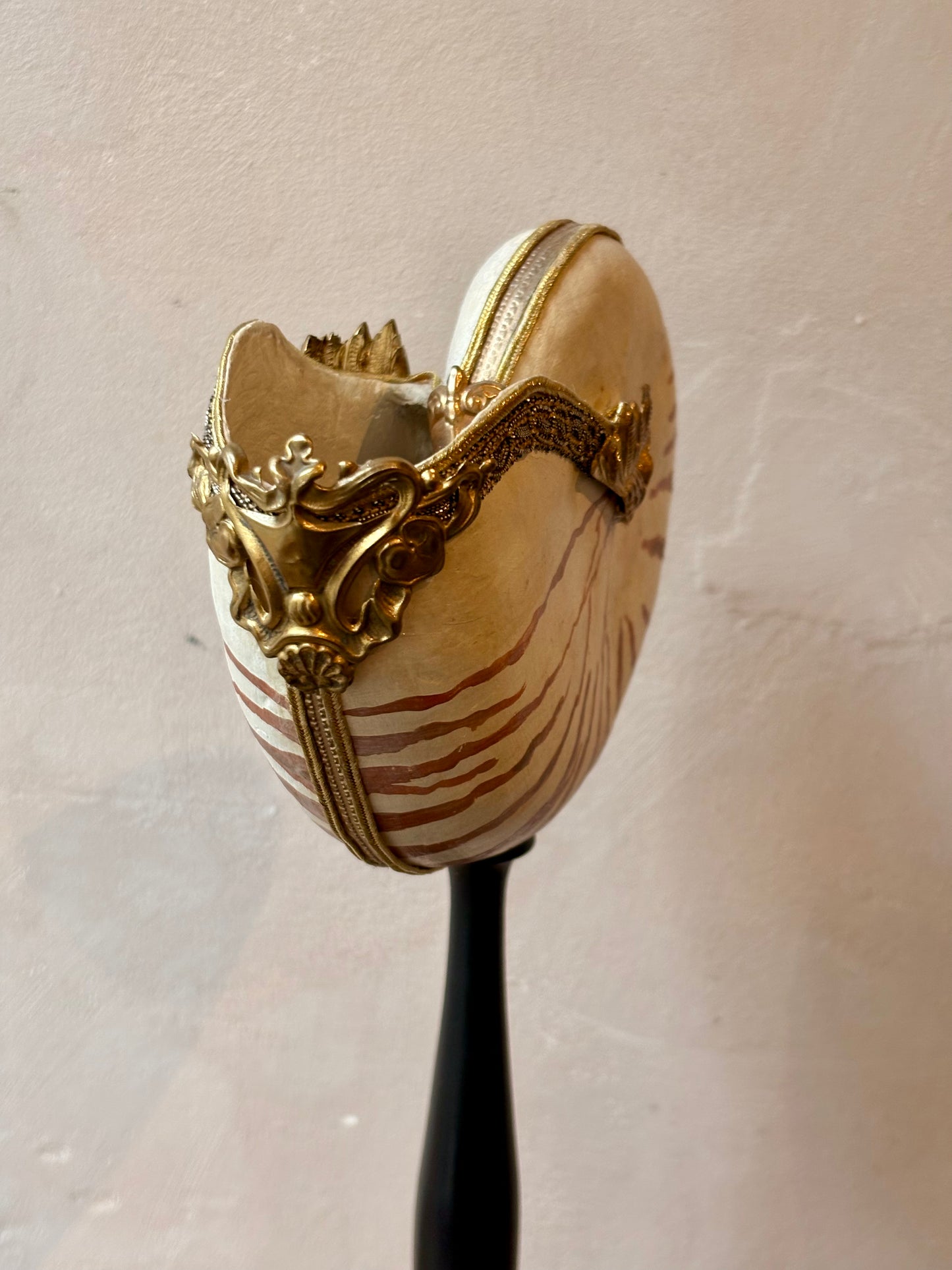 Curiosity Cabinet Shell Sculptures