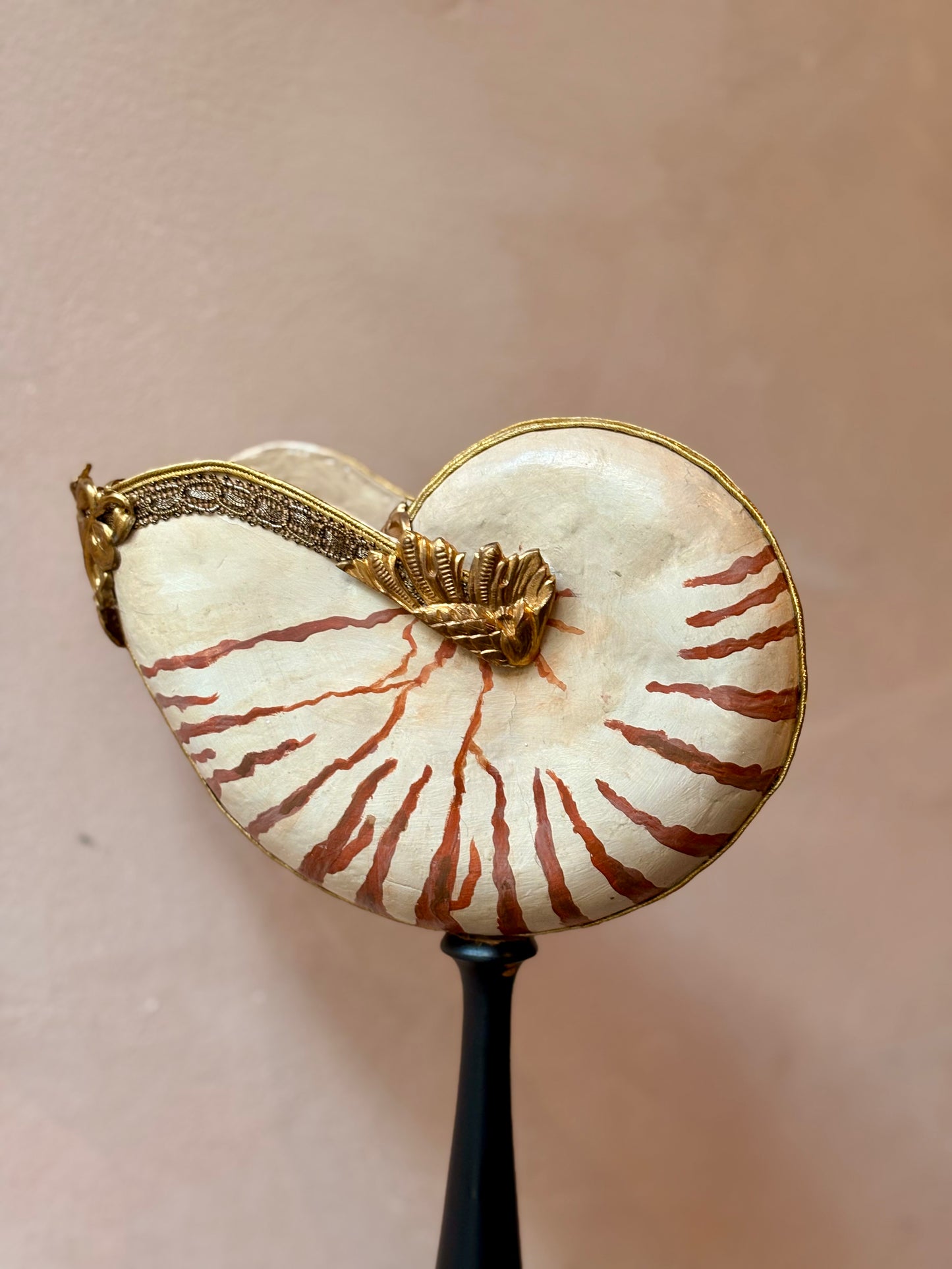 Curiosity Cabinet Shell Sculptures