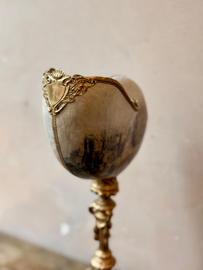 Curiosity Cabinet Shell Sculptures