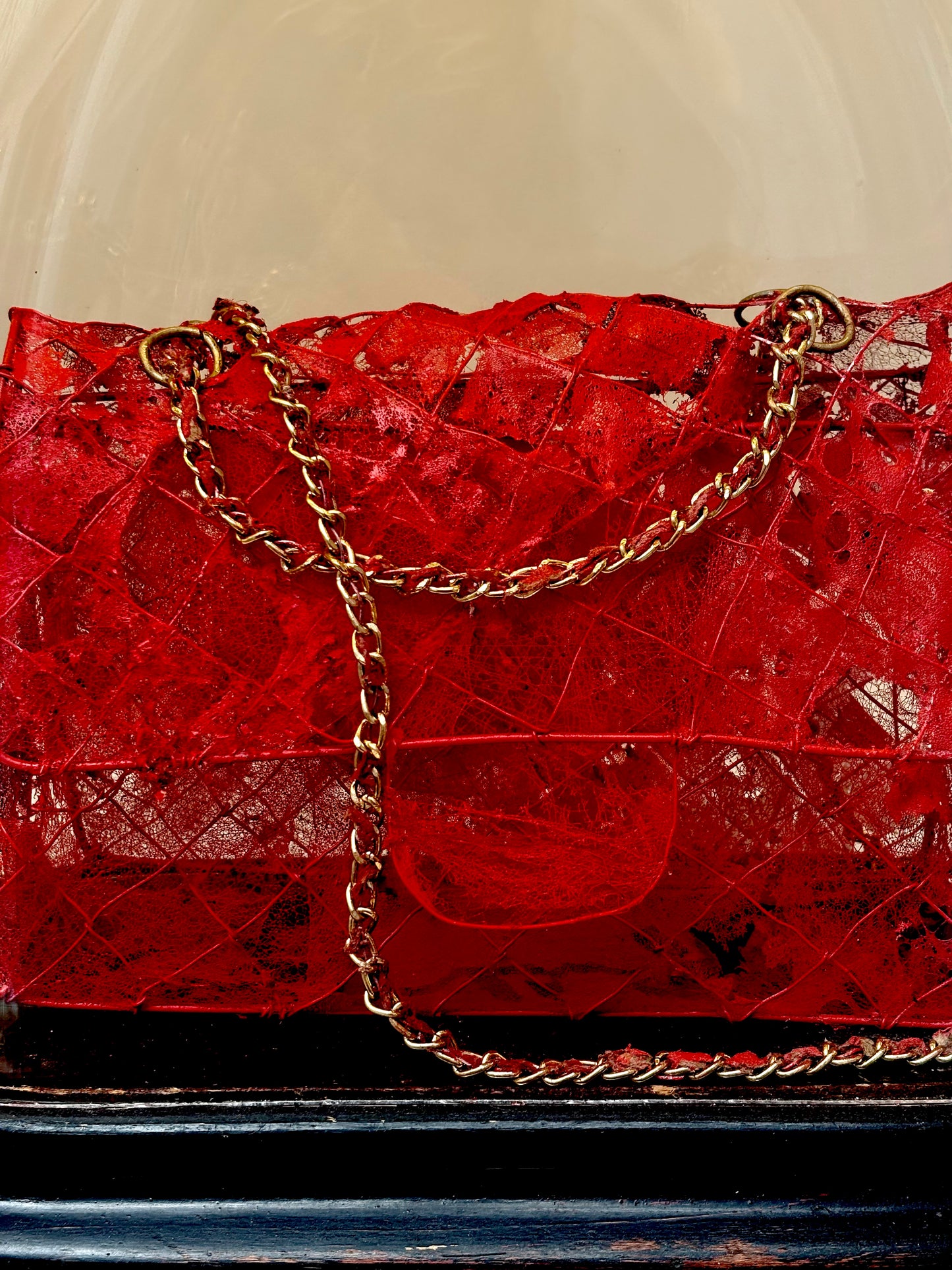 Icons of Desire in Spiderweb