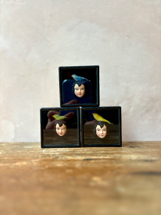 Mythical Magnet Taxidermy Boxes by Maïssa Toulet