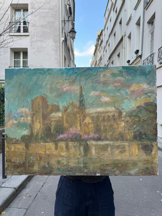 Notre Dame in Spring by Pierre Gogois